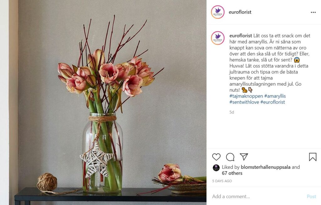 Instagraminlägg Euroflorist